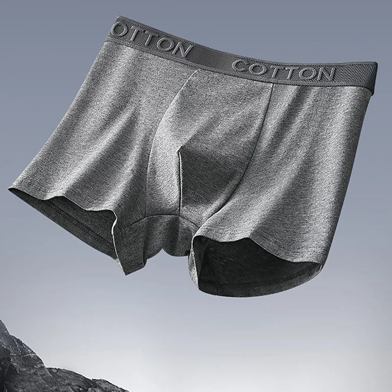 Core Cotton 5-Pack Boxers